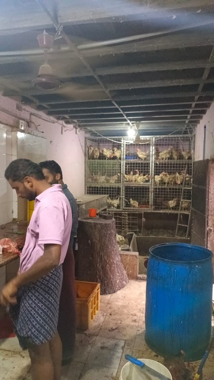 Halal Chicken Stall 4