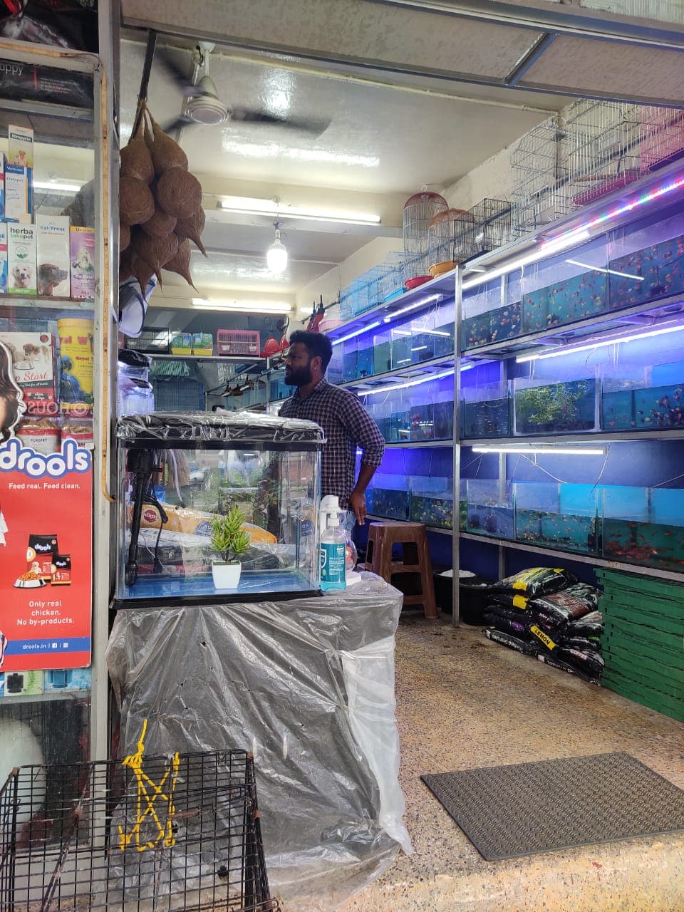 Seana Pets Zone 3