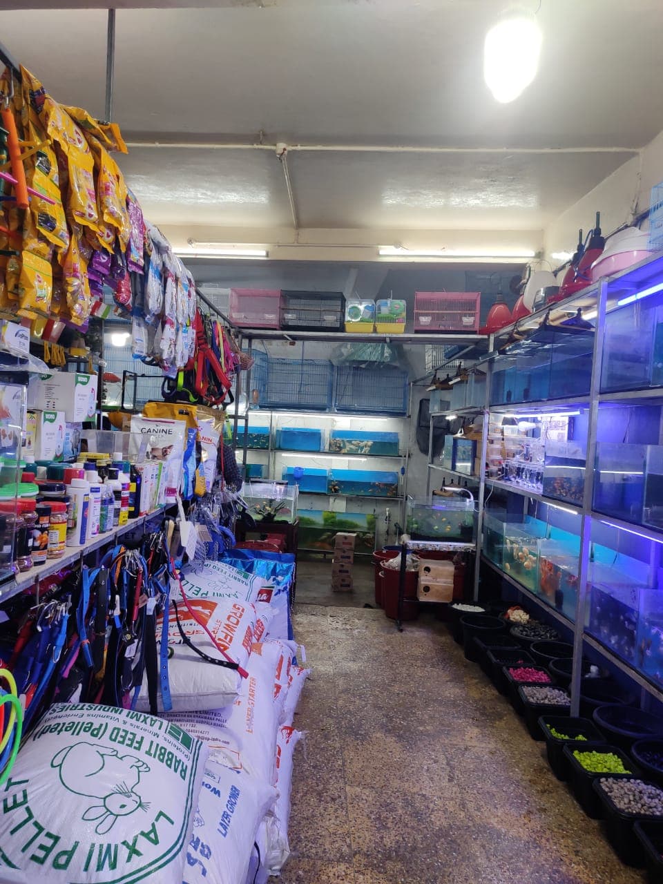 Seana Pets Zone 4