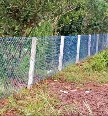 Orix Fencing Work  2