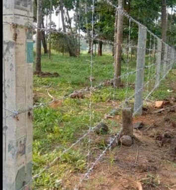 Orix Fencing Work  5