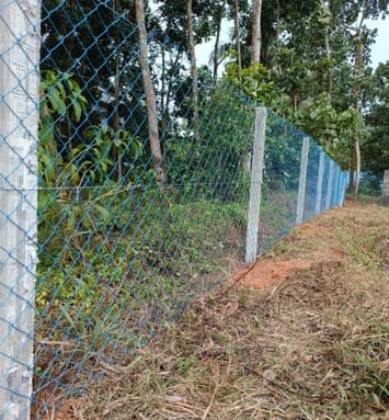 Extreme Fencing  3