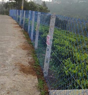 Extreme Fencing  5