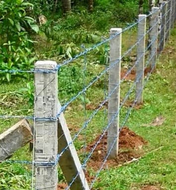 Fence and Slab Walls 4