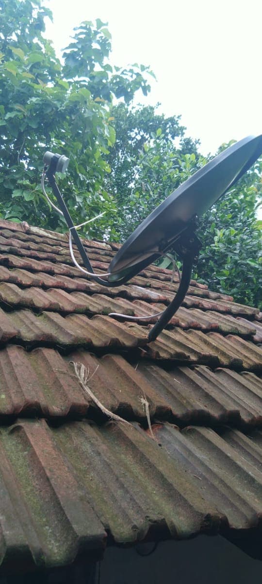 Tek D2H Service 2
