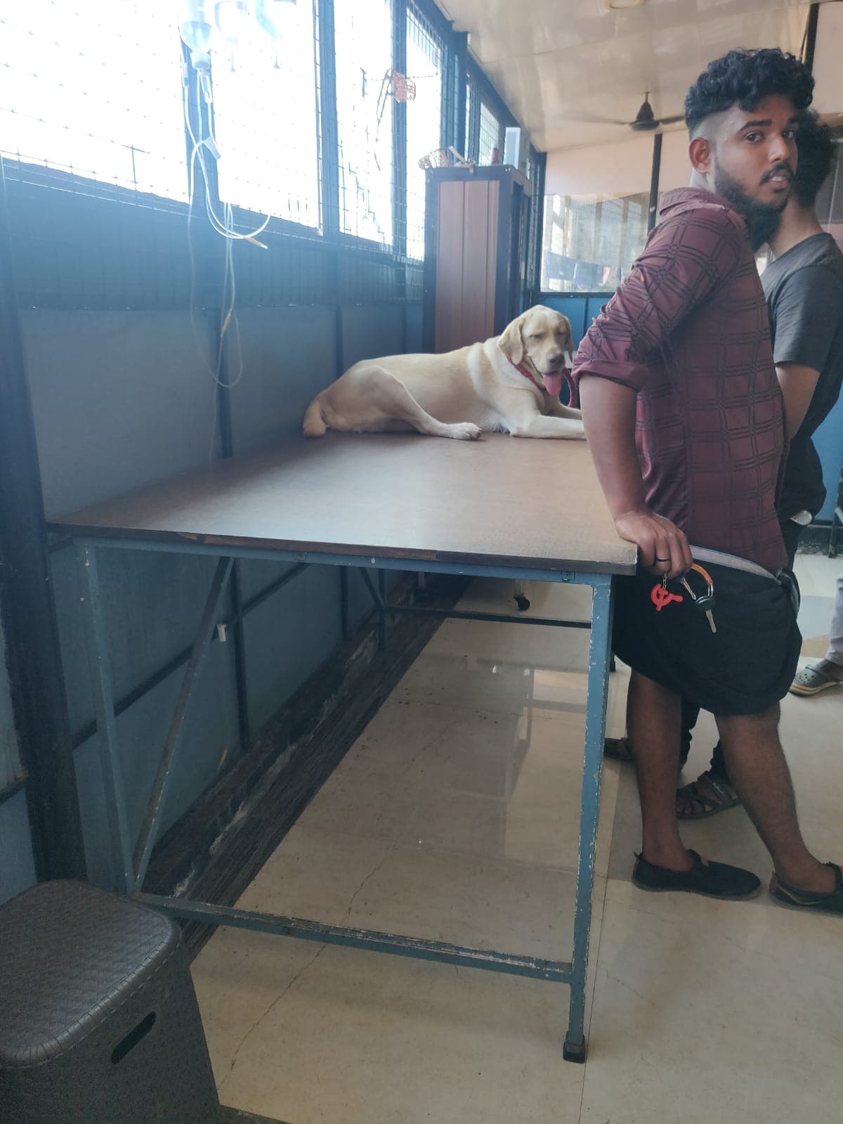 Quilon pet clinic 5