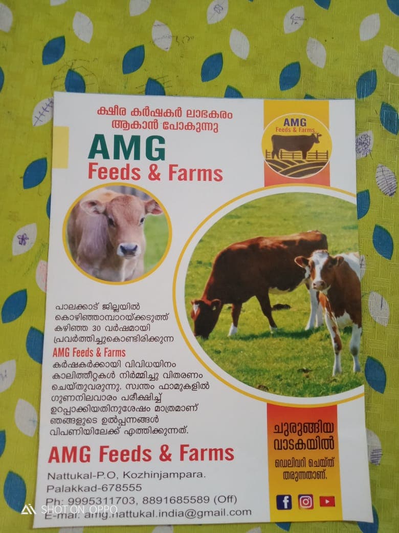 Amg Feeds and Farms 3