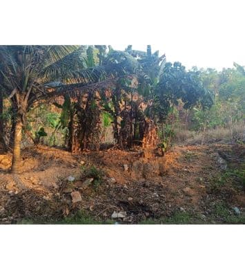 Plot for sale  2