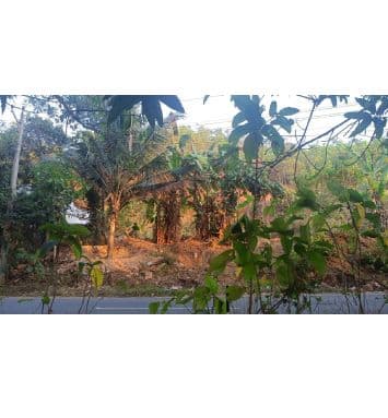 Plot for sale  3
