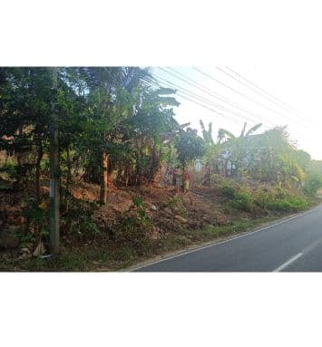 Plot for sale  5