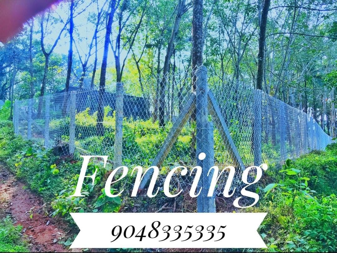 Safety Fencing 3