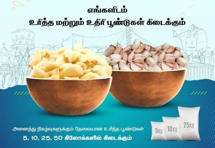 Allium Peelers Tamilnadu 2