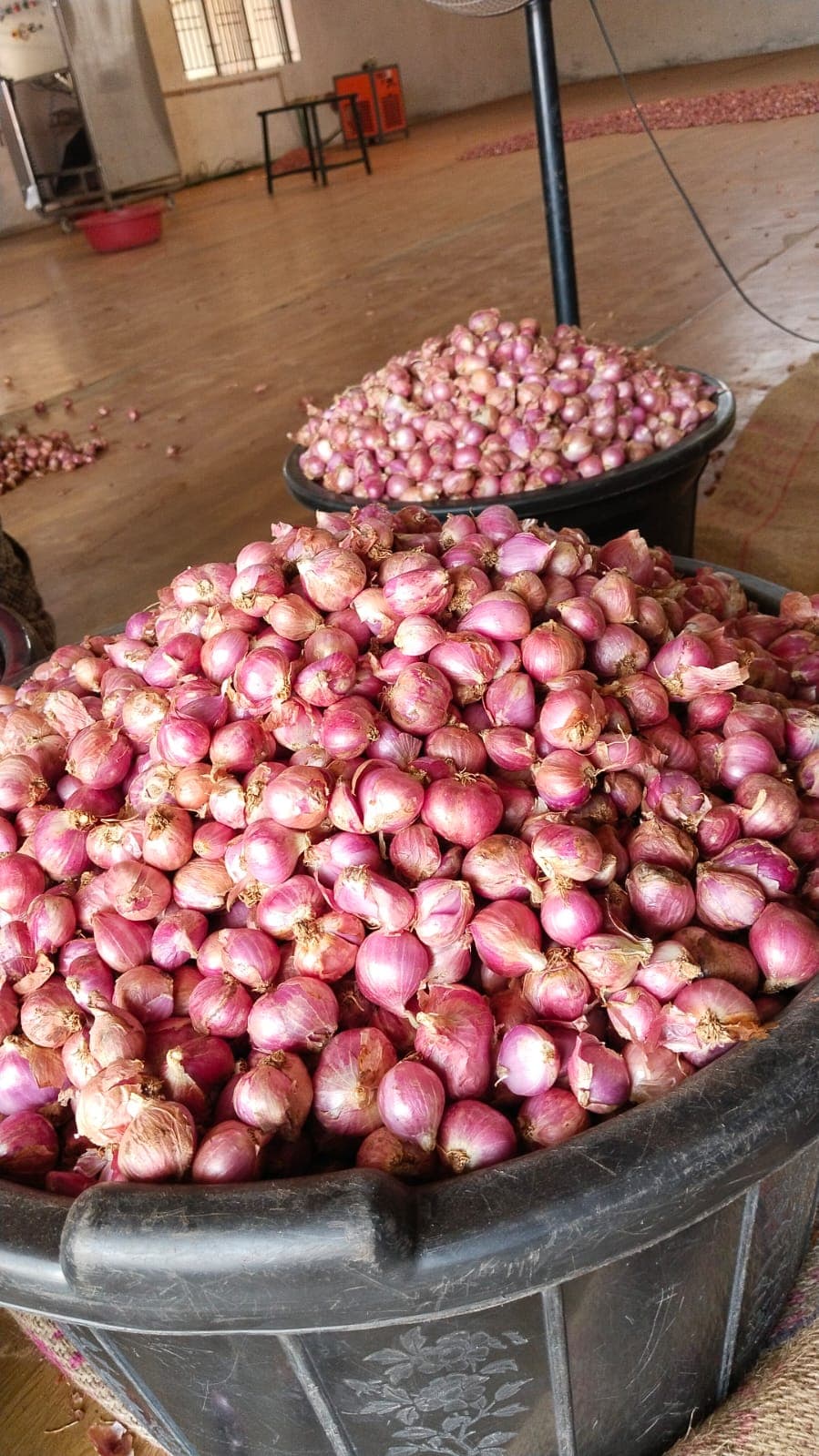 Allium Peelers Tamilnadu 4