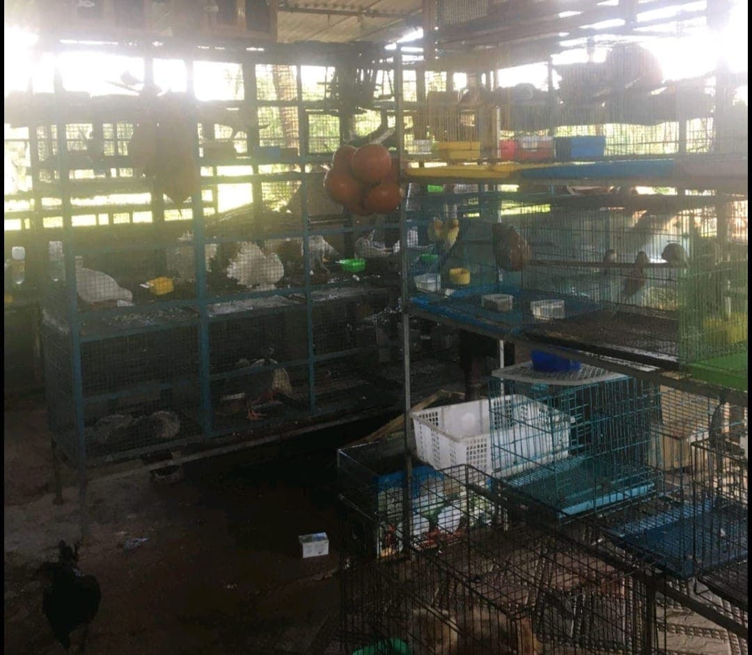 Palam Nurseries 2