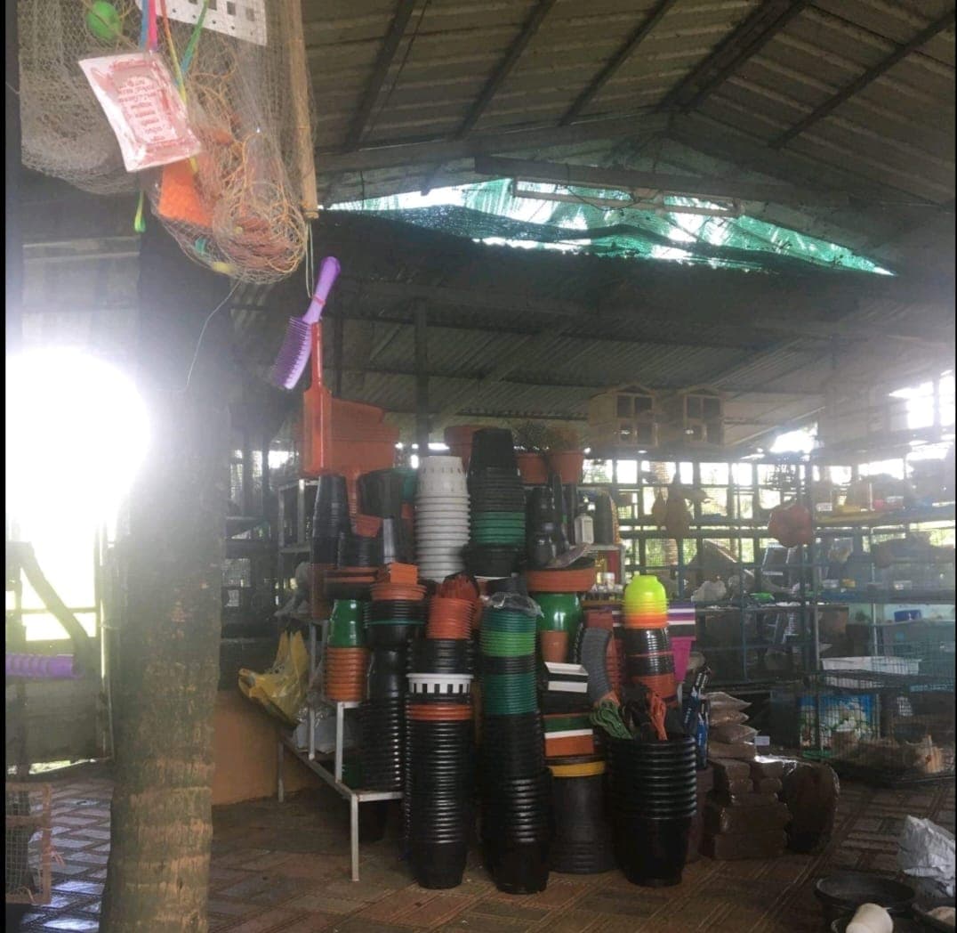 Palam Nurseries 3