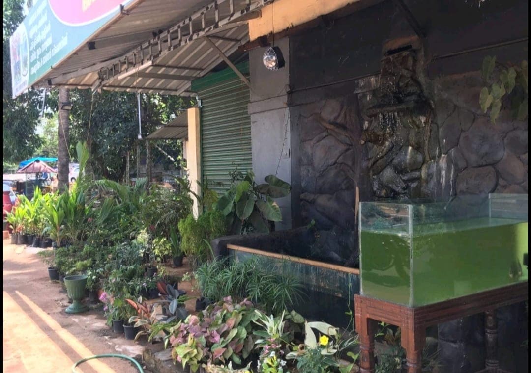 Palam Nurseries 5