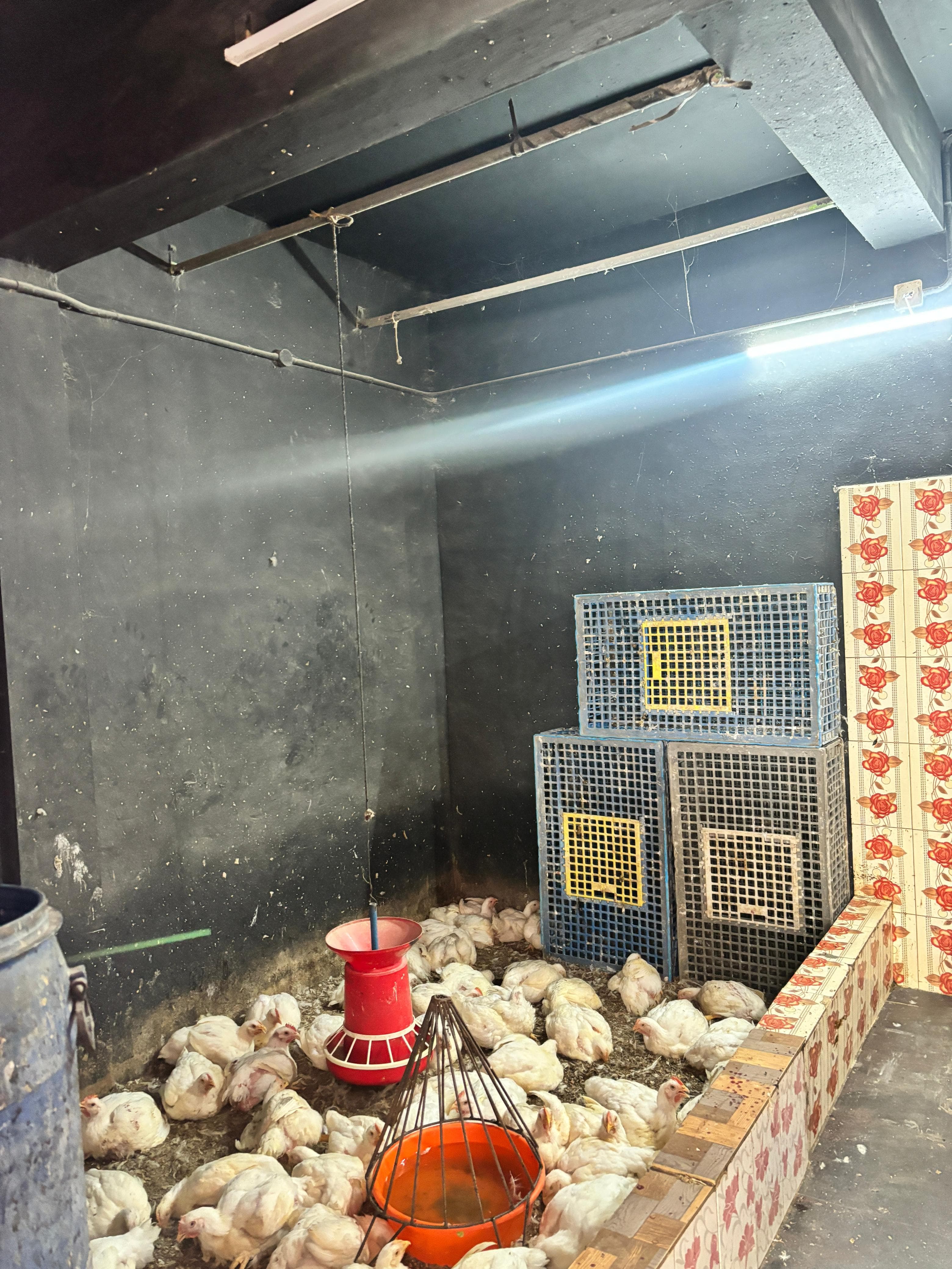 Bismi Meat store  4