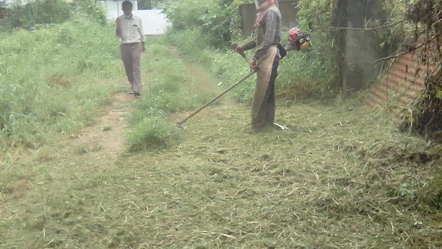 Cochin Marian Grass Cutting 2
