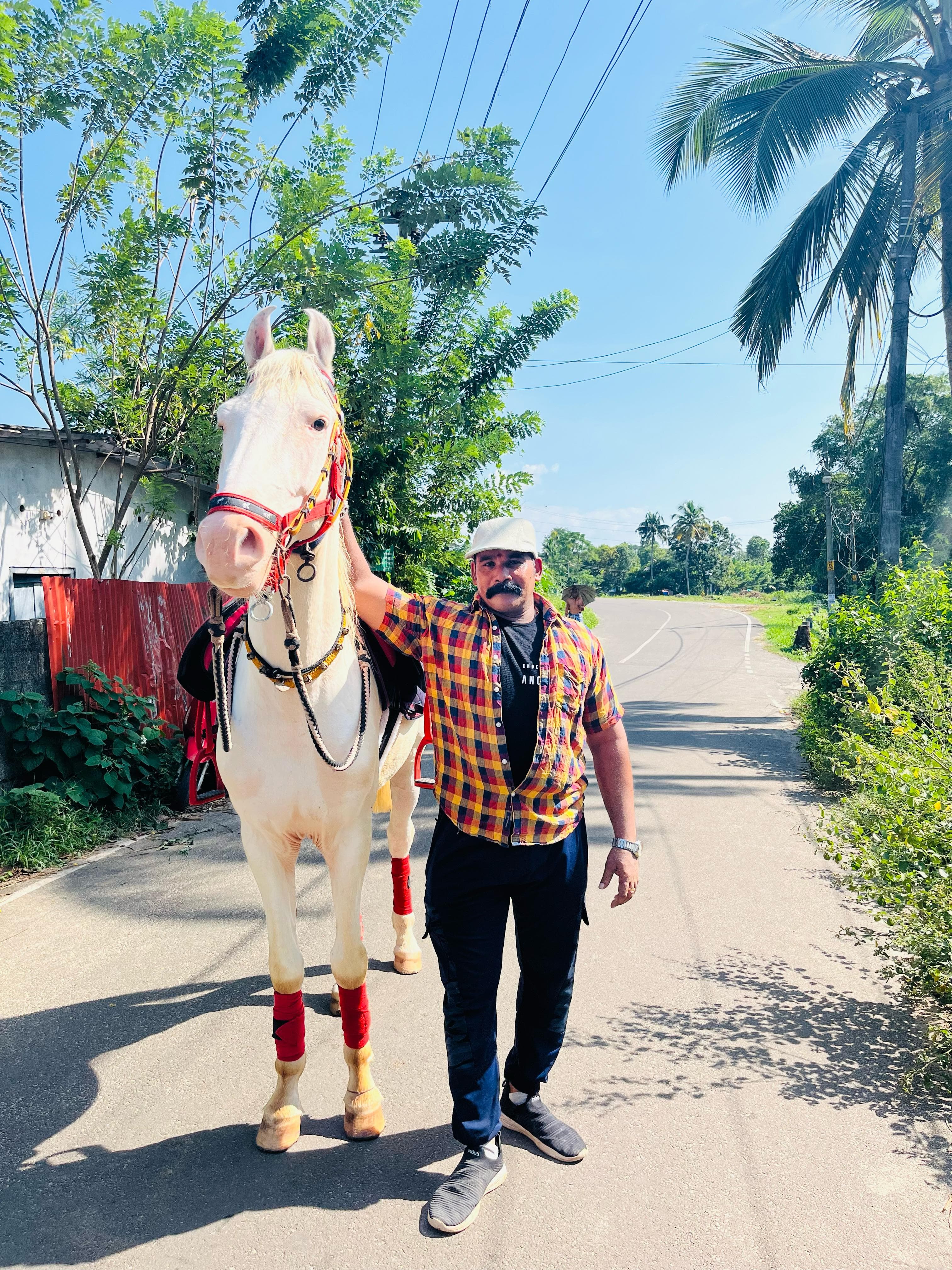 Chirayil Homestay Family Resort and Horse Ride 4