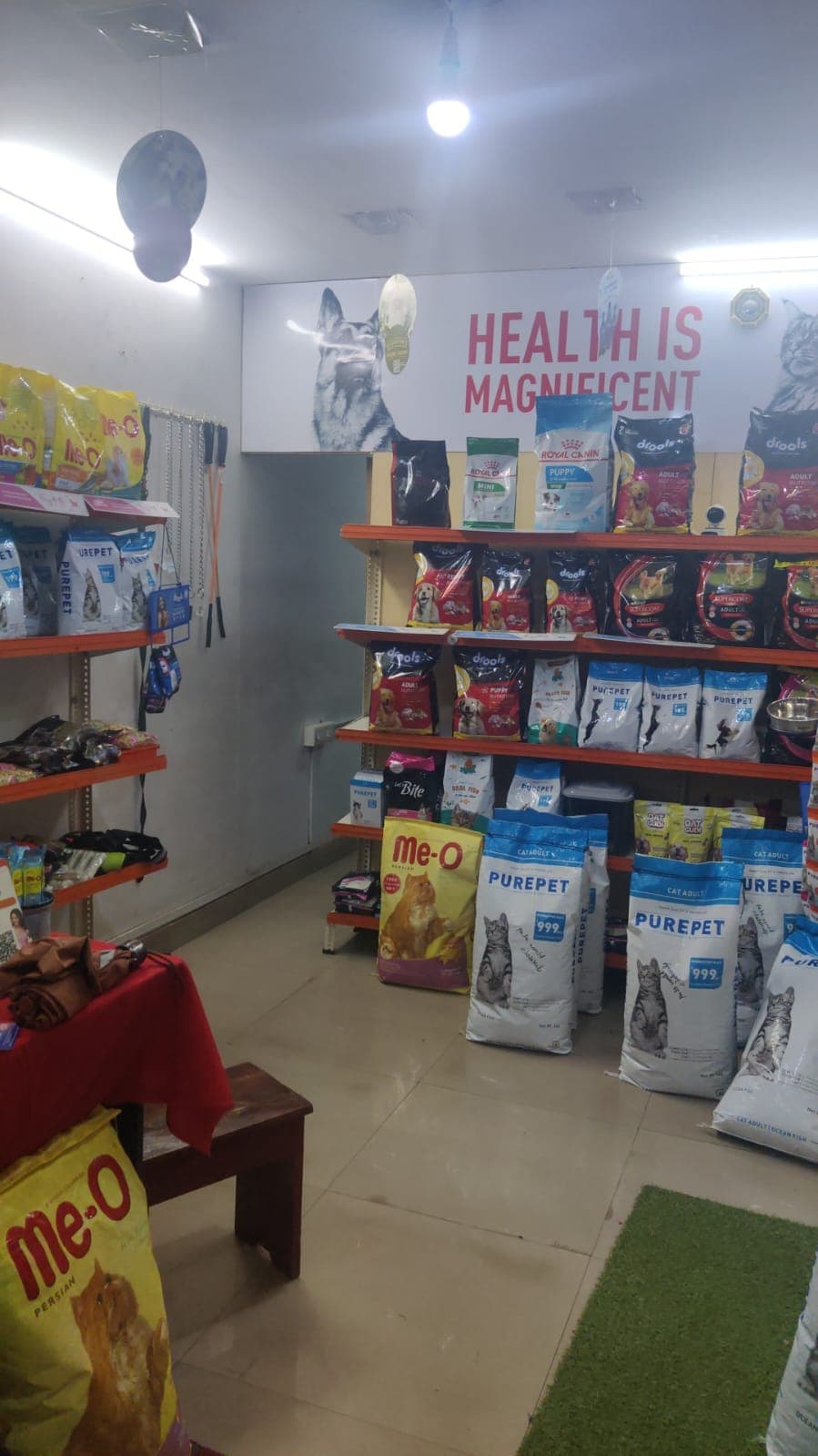 Pets World   4
