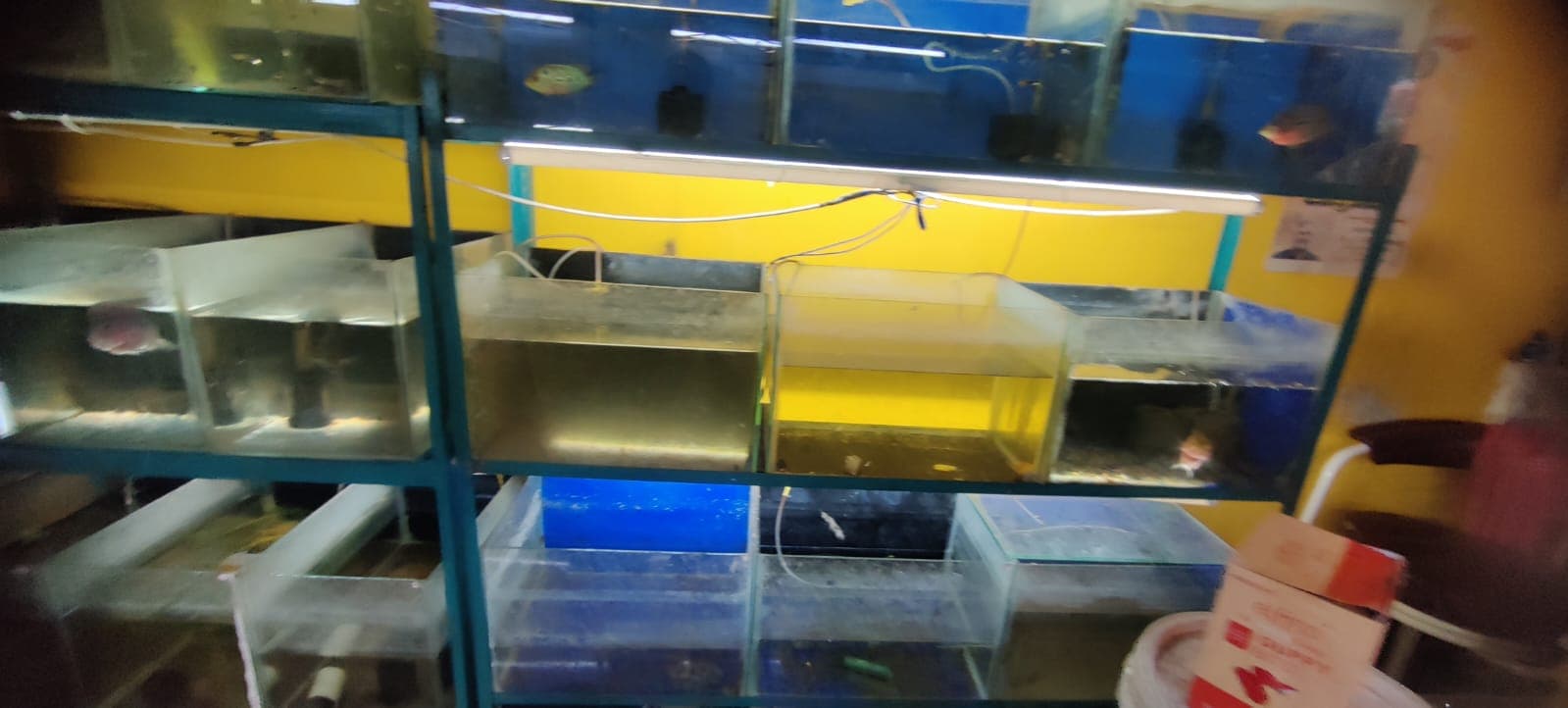 AB Aquarium 4