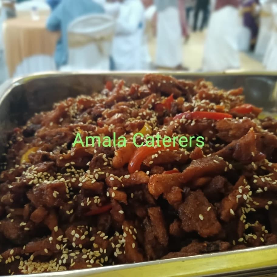  Ain Amala Catering Services  3