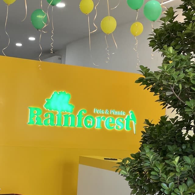 Rainforest Pets & Plants 4