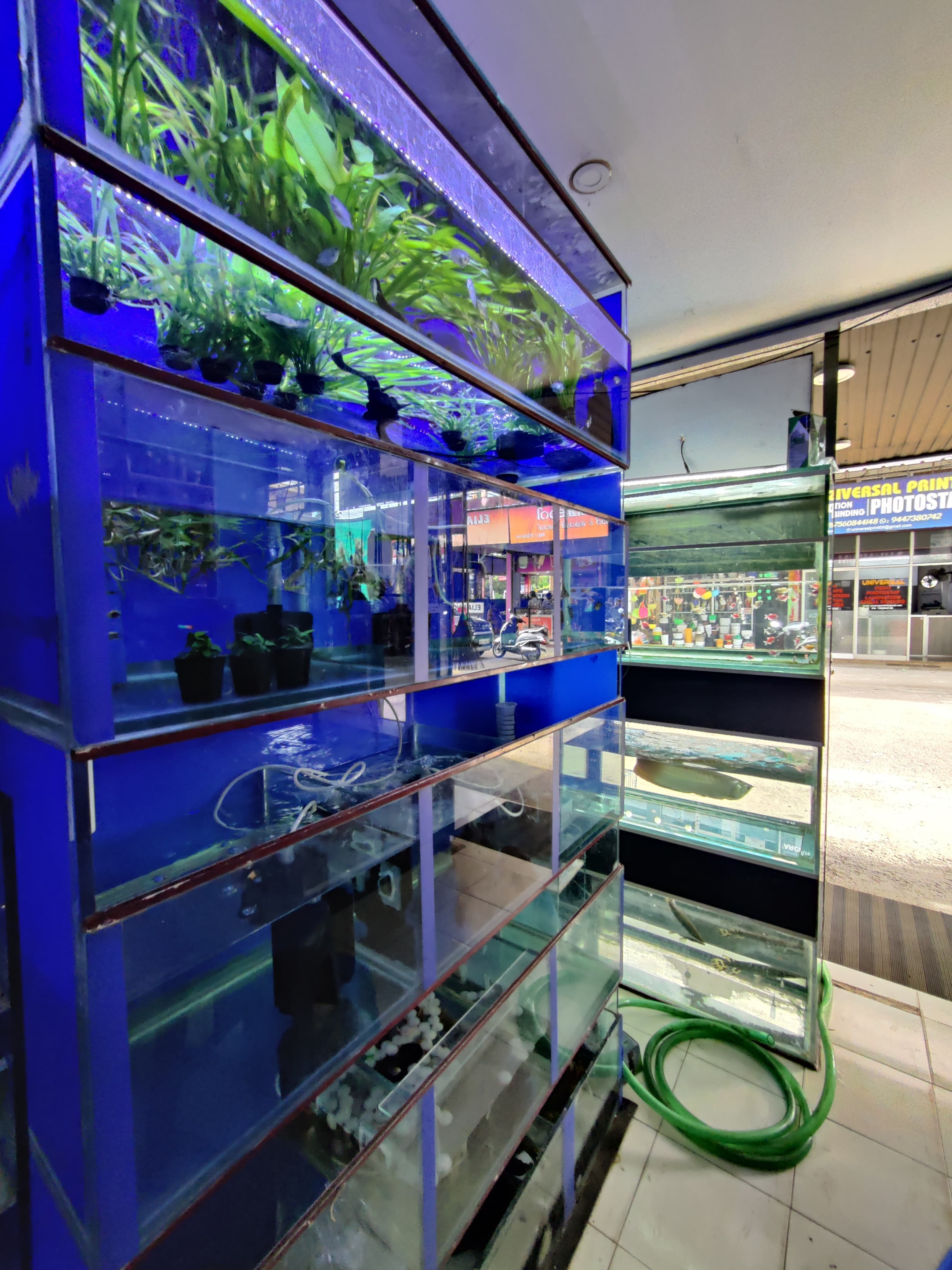 Akhil Aquarium 3
