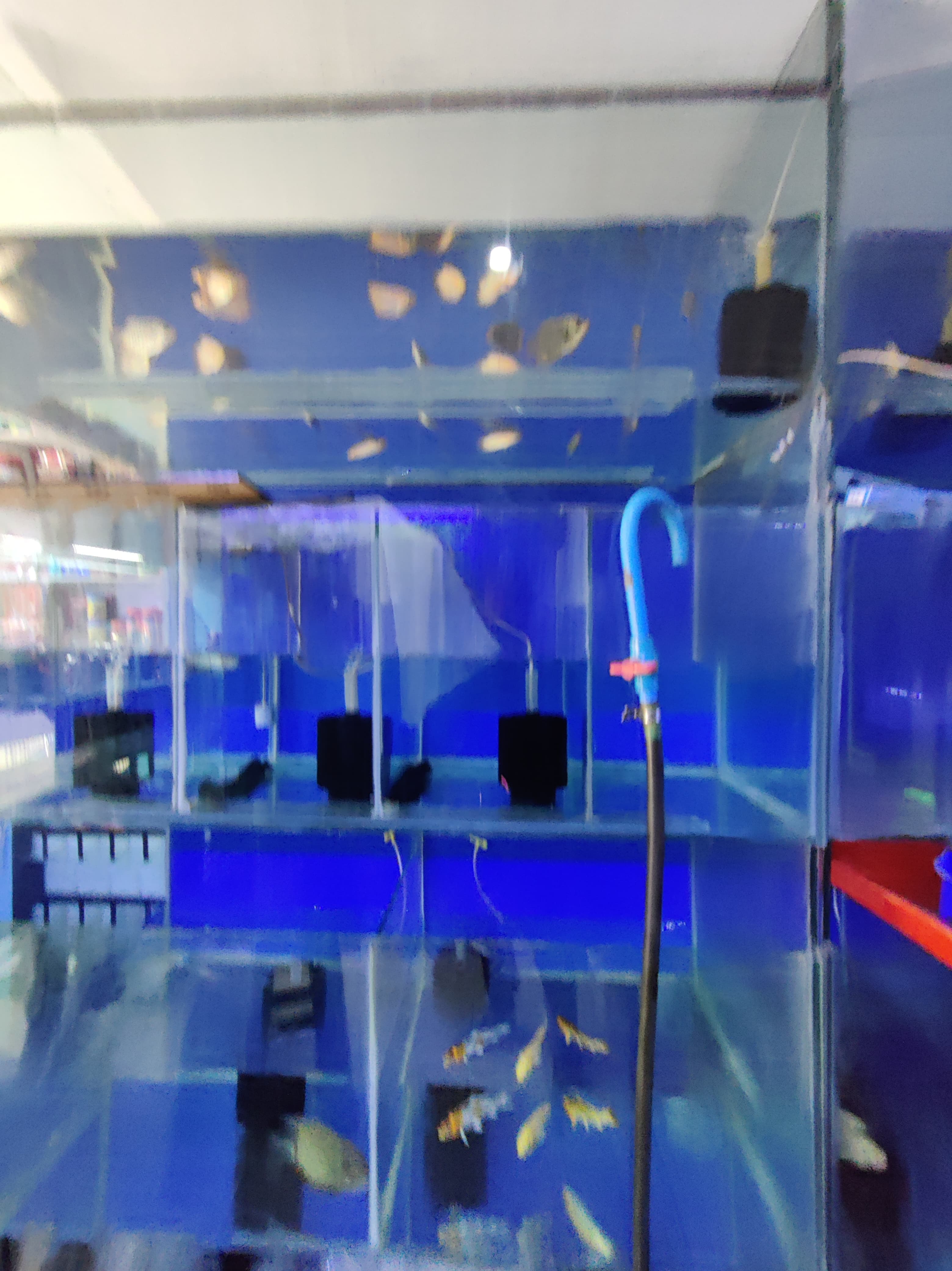Akhil Aquarium 4