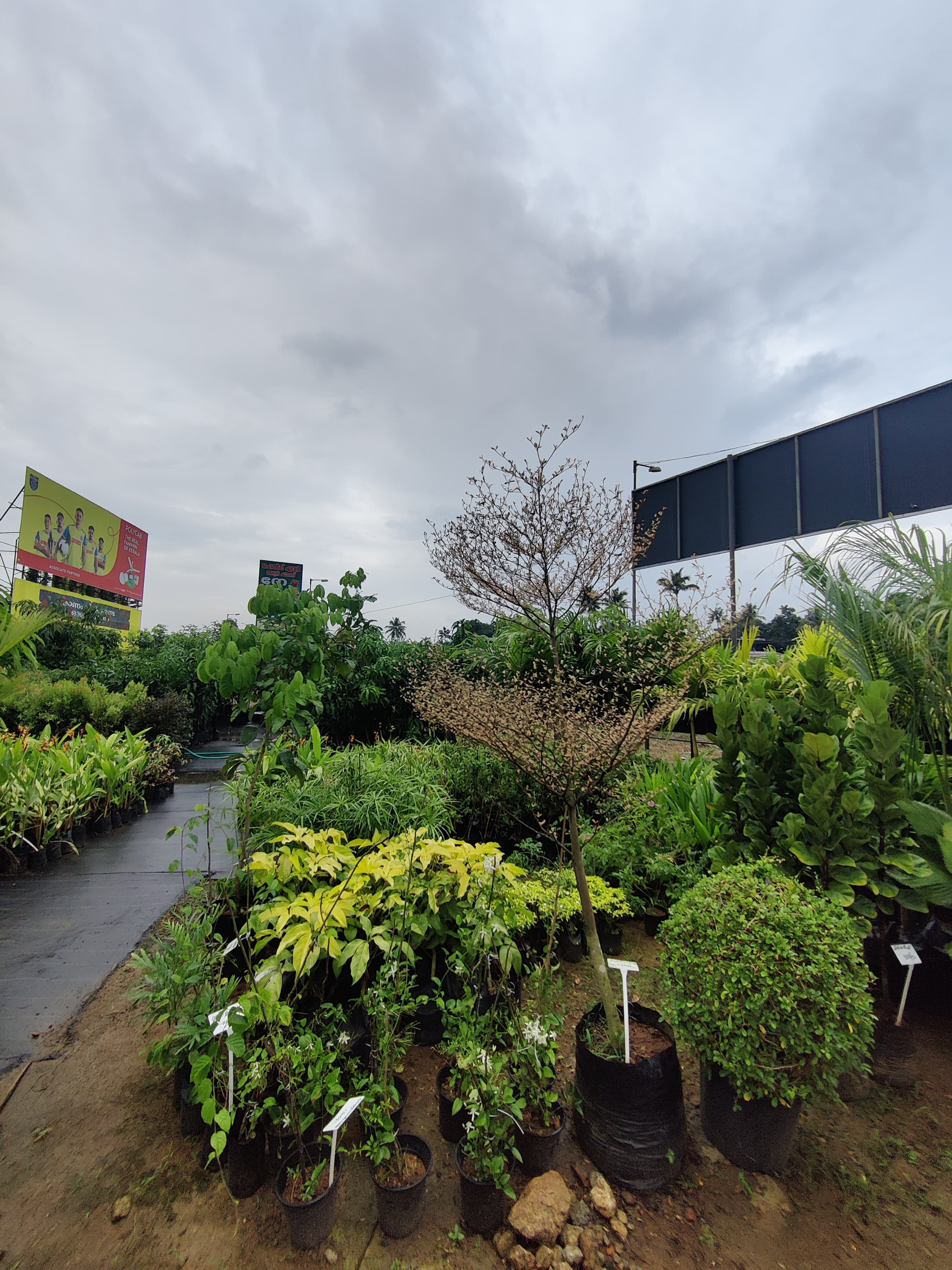 Help Ever Agri.Farms, Wholesales & Retail 3