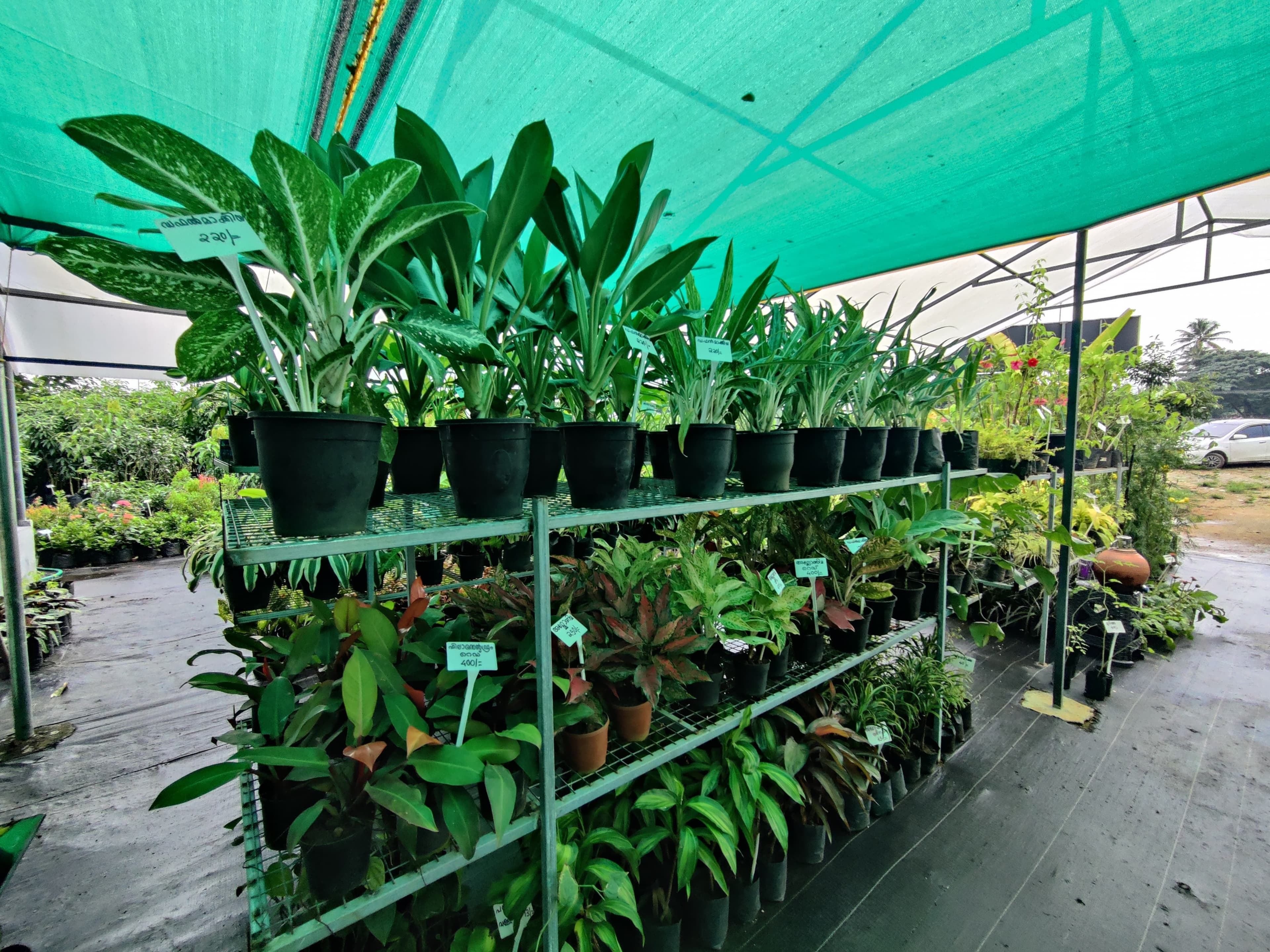 Help Ever Agri.Farms, Wholesales & Retail 4