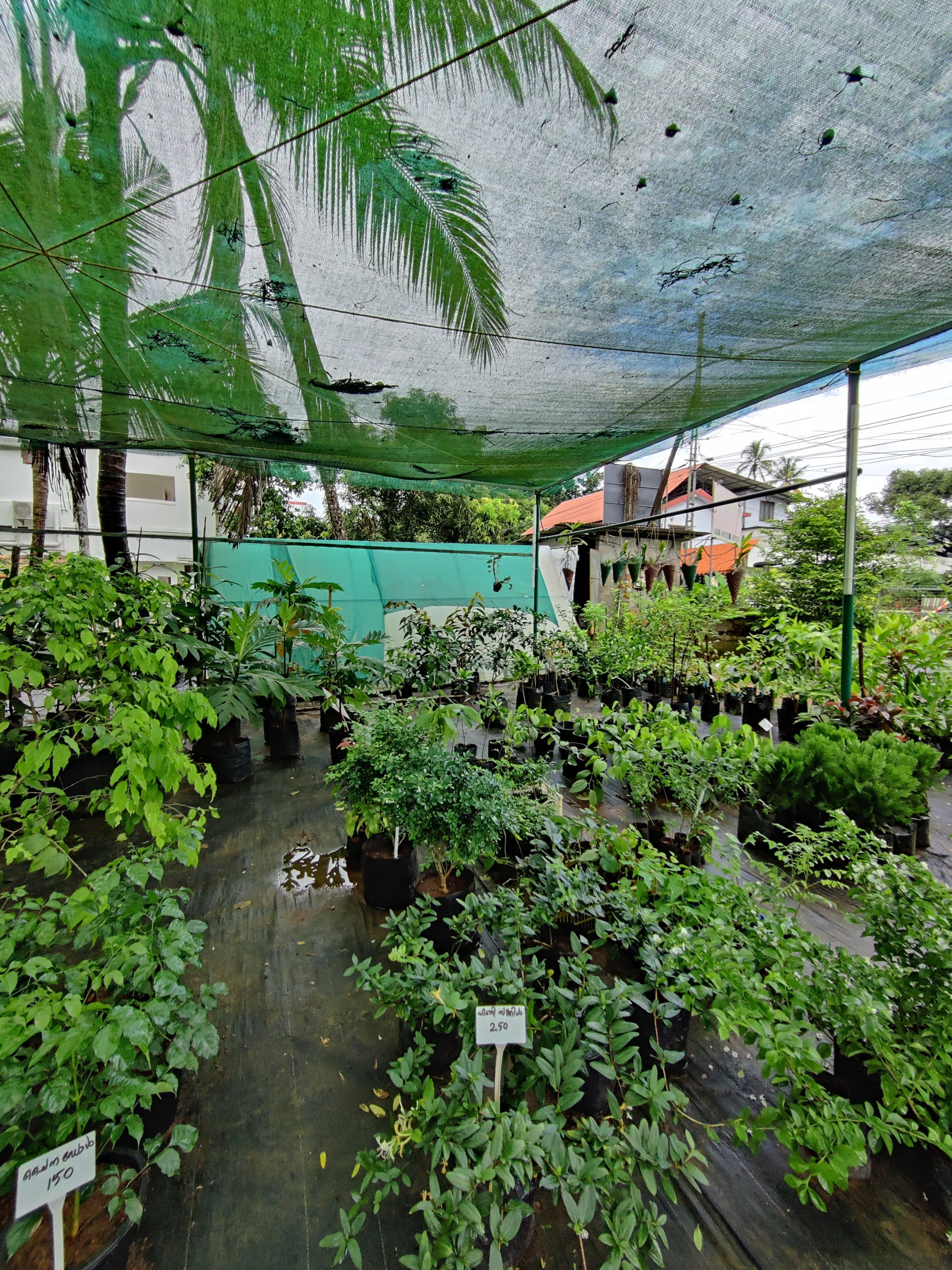 Green World Agri Farm 3