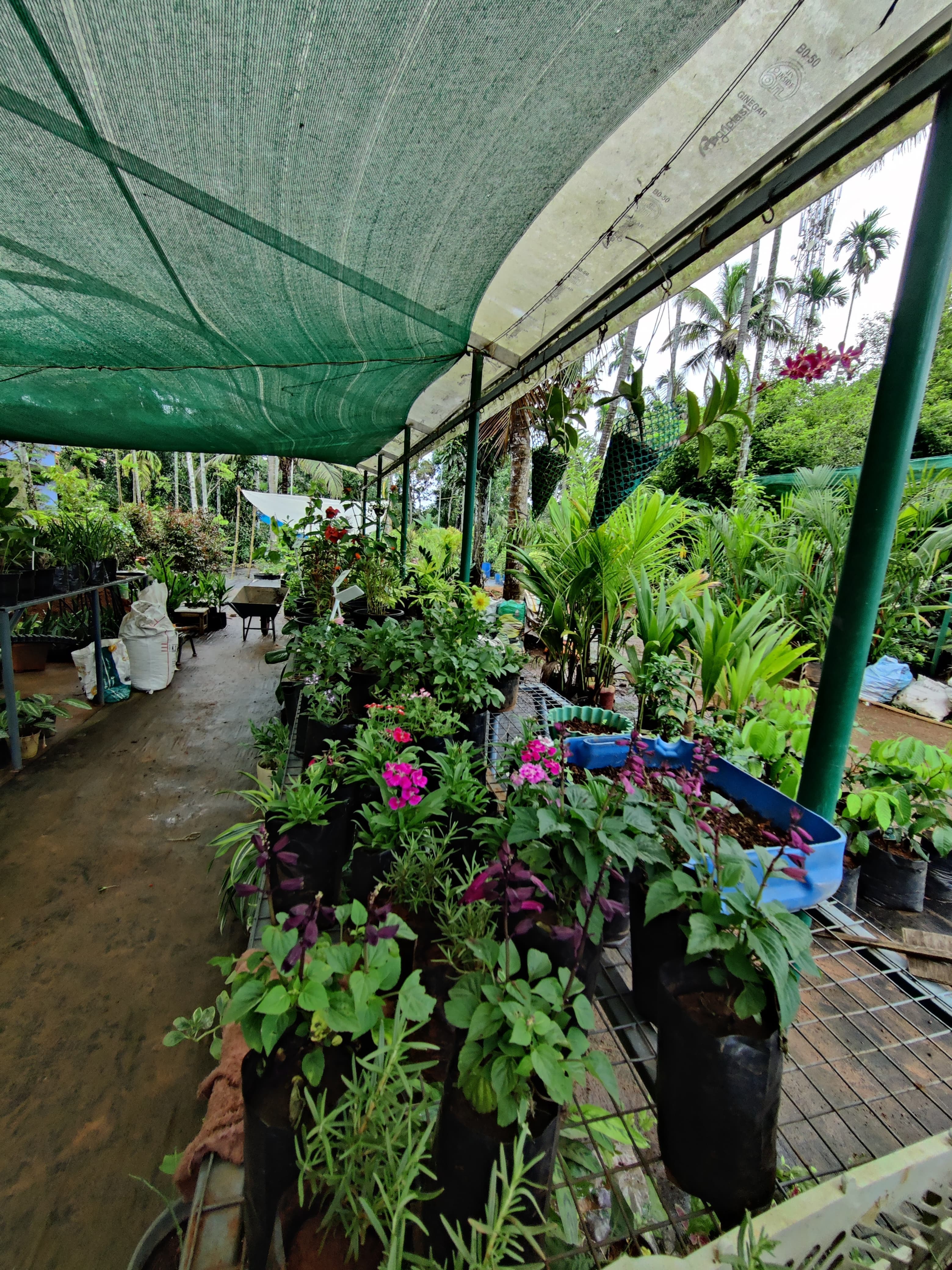 Green World Agri Farm 4