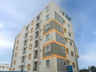 Zolo Pragma  2
