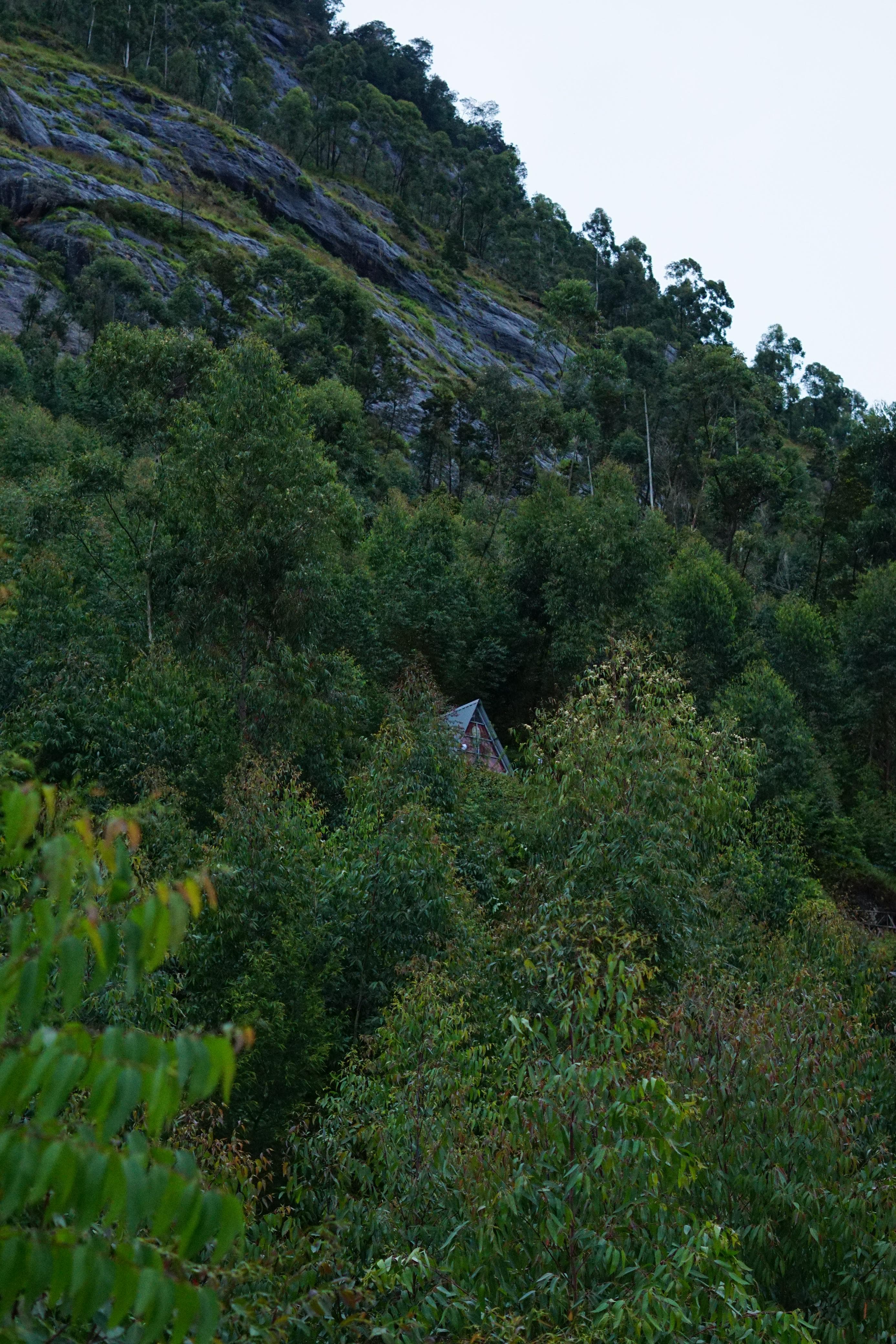 Montanha 5