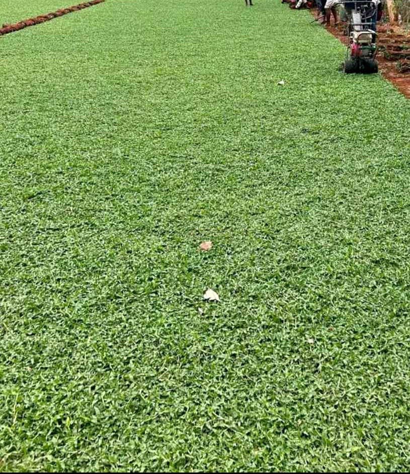  Sri Parvathy Garden  4