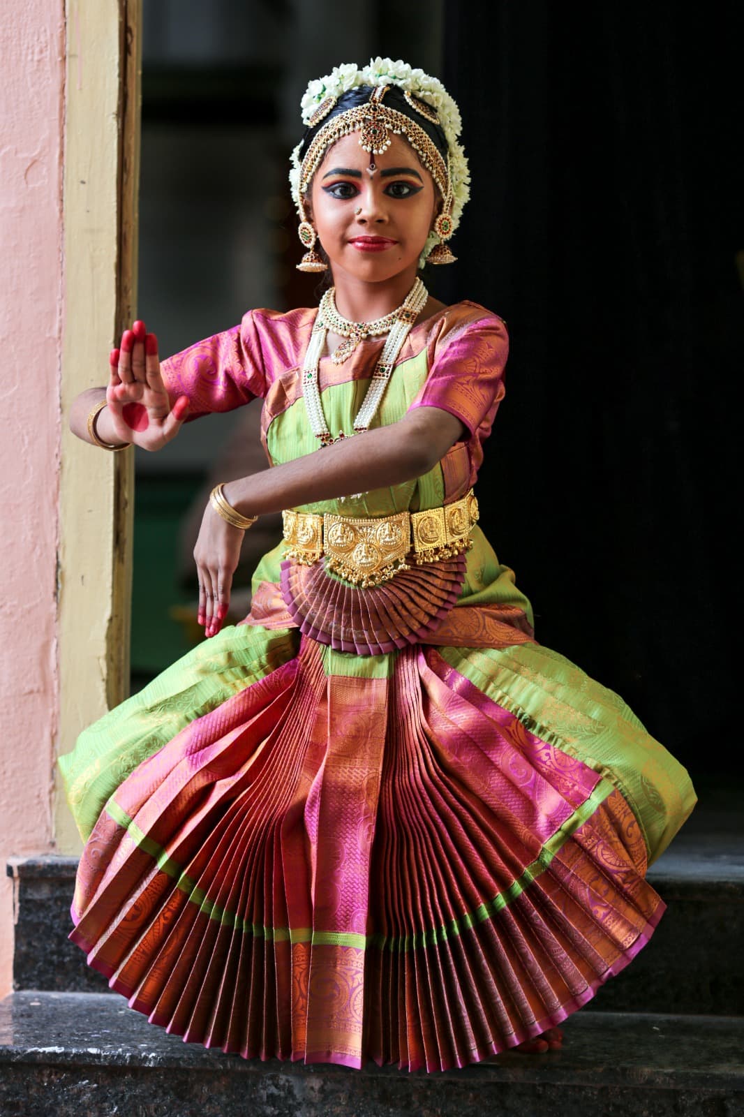 Saraswathi Natya Kalashetra Dance Academy  5
