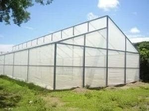 NAFT Agro 5