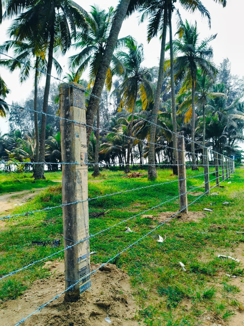 KK Fencing  5