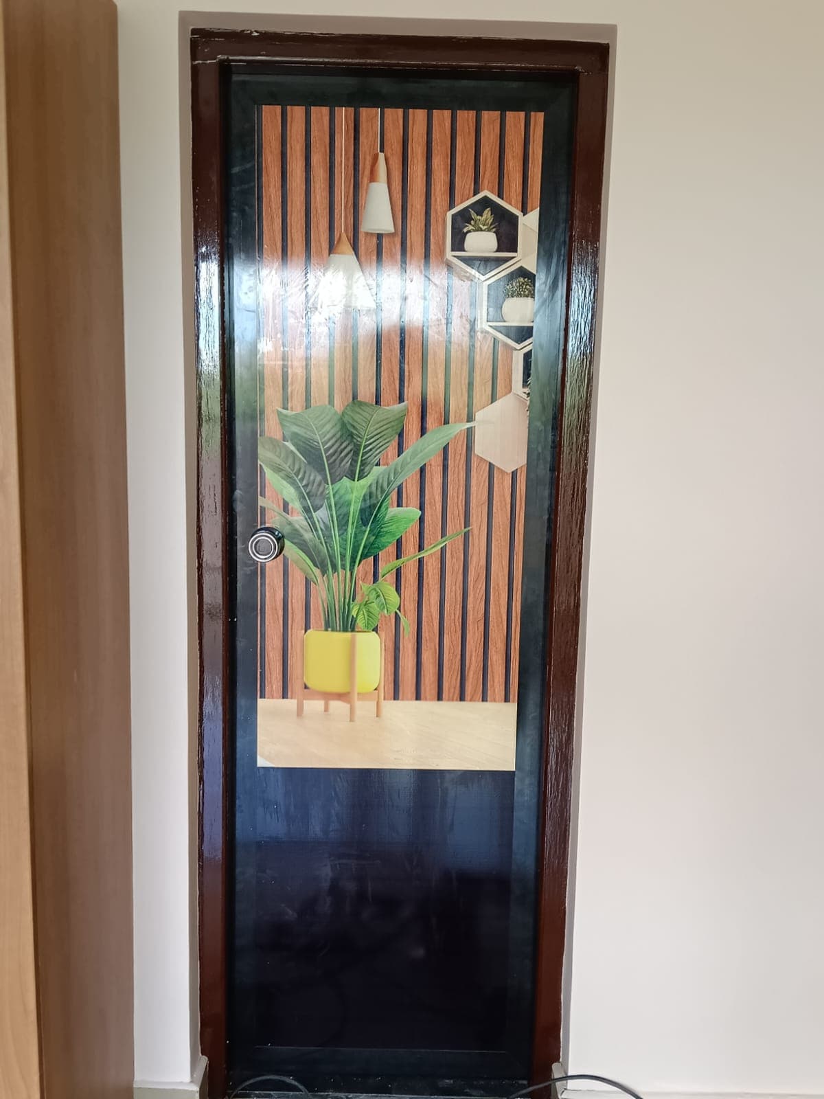 Protect Mosquito Window and Mosquito Door 2