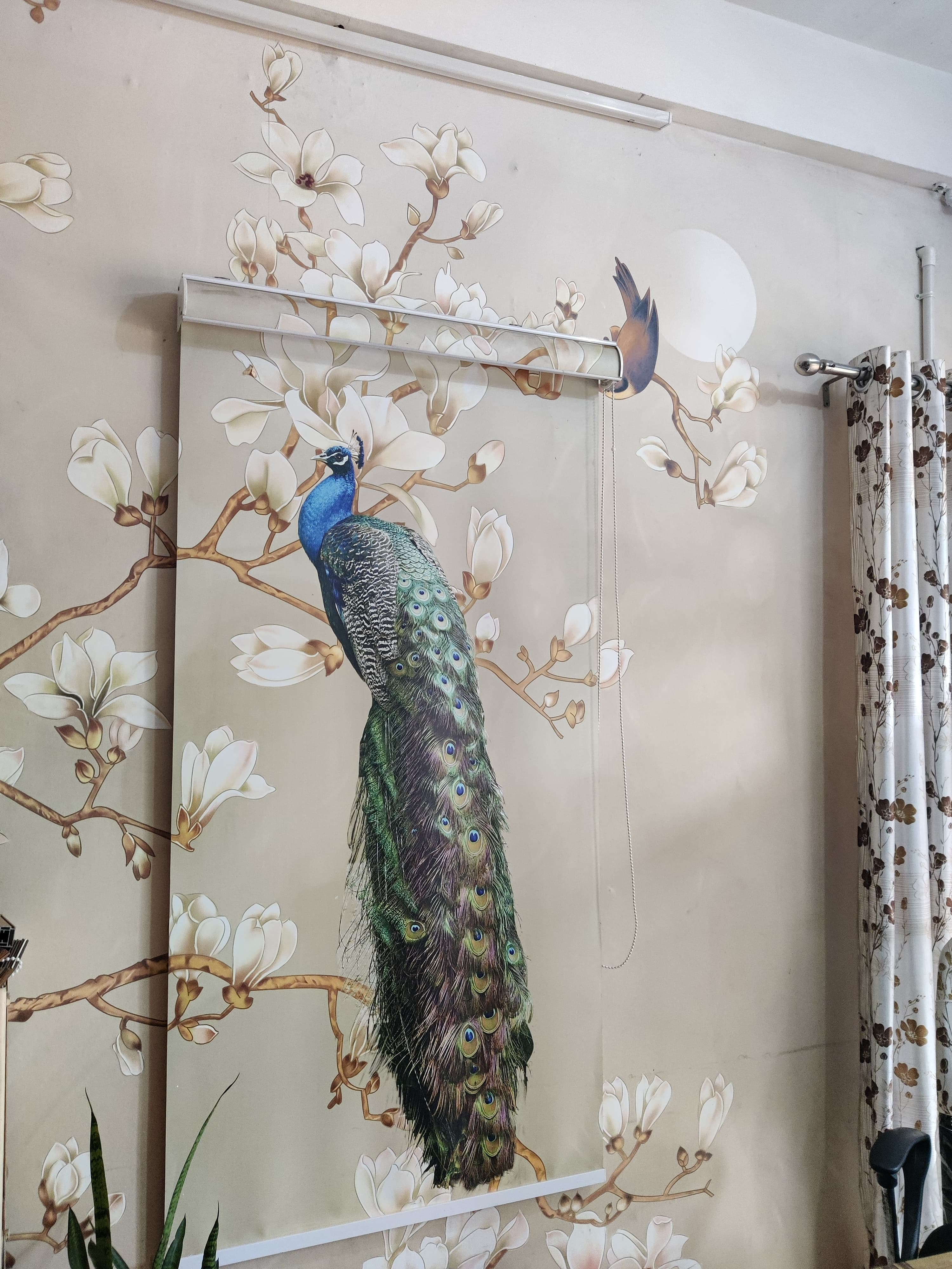 Colours Furnishing Curtain Design 5
