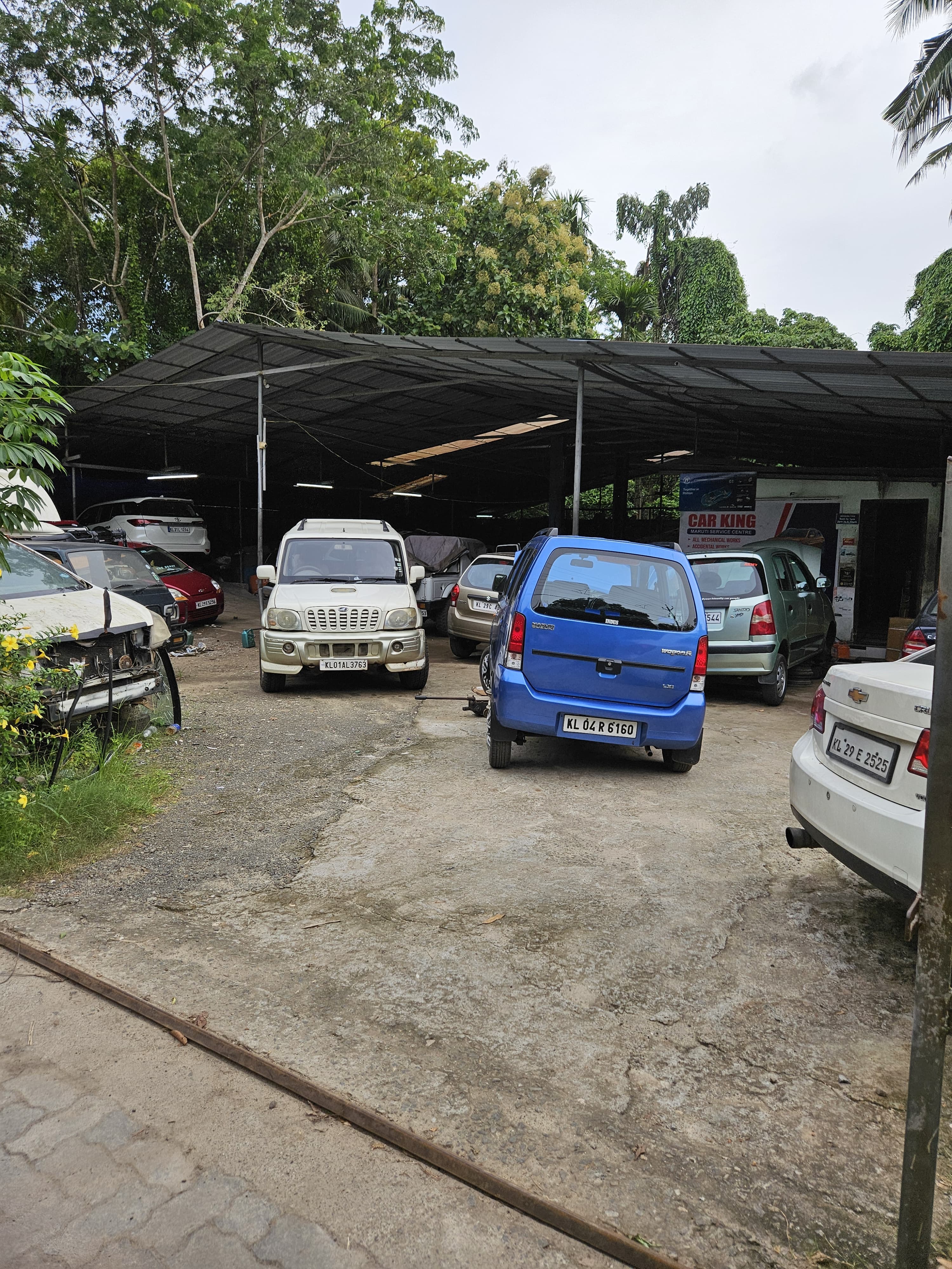 Car King 5