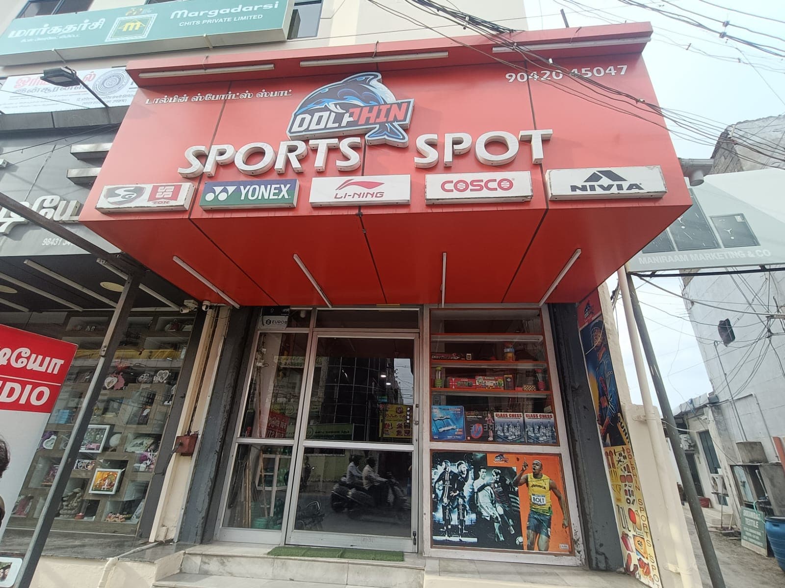 Dolphin Sport Spot 4