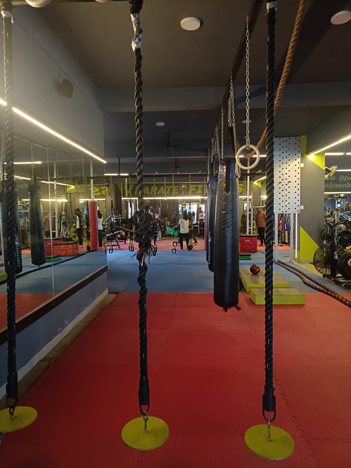 V Fitness 2