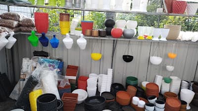 Abhana's Garden 5