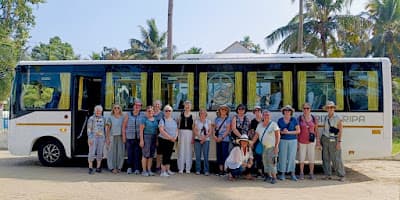 Attic Tours & Travels 2