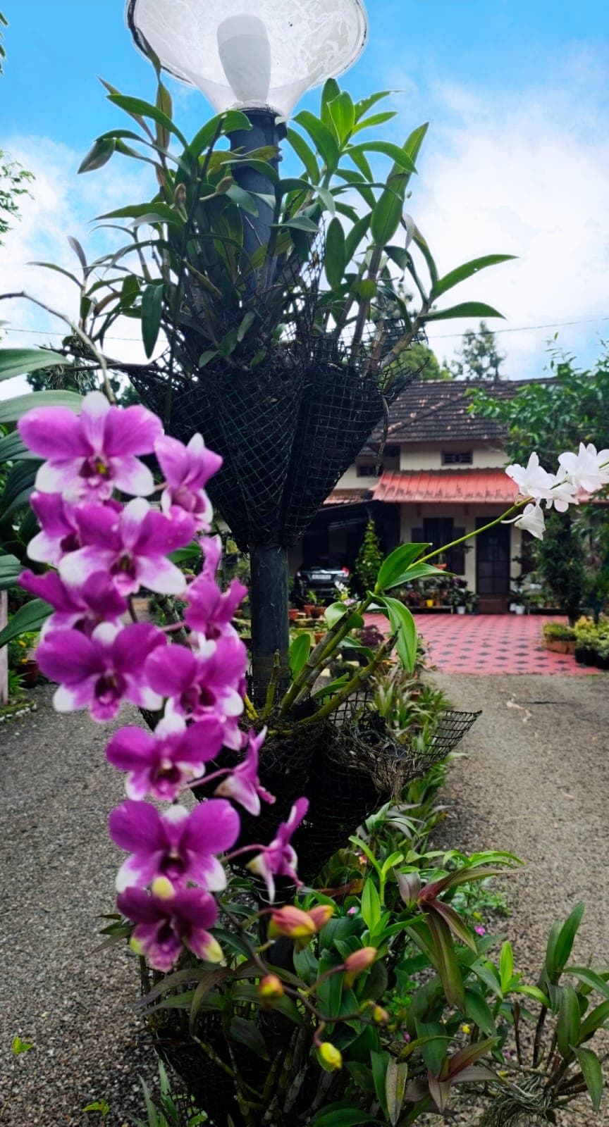Ethan Garden 5