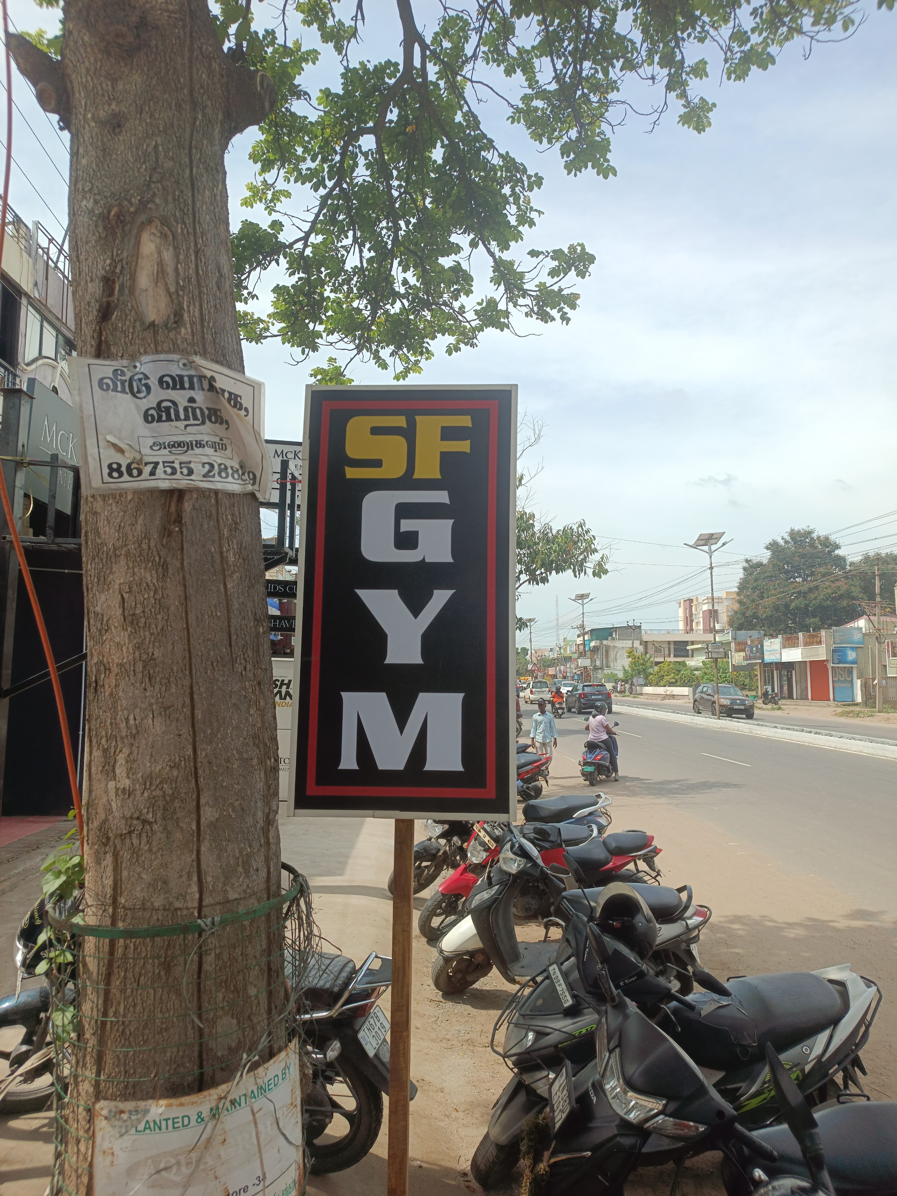 SF Gym & Family Fitness 4