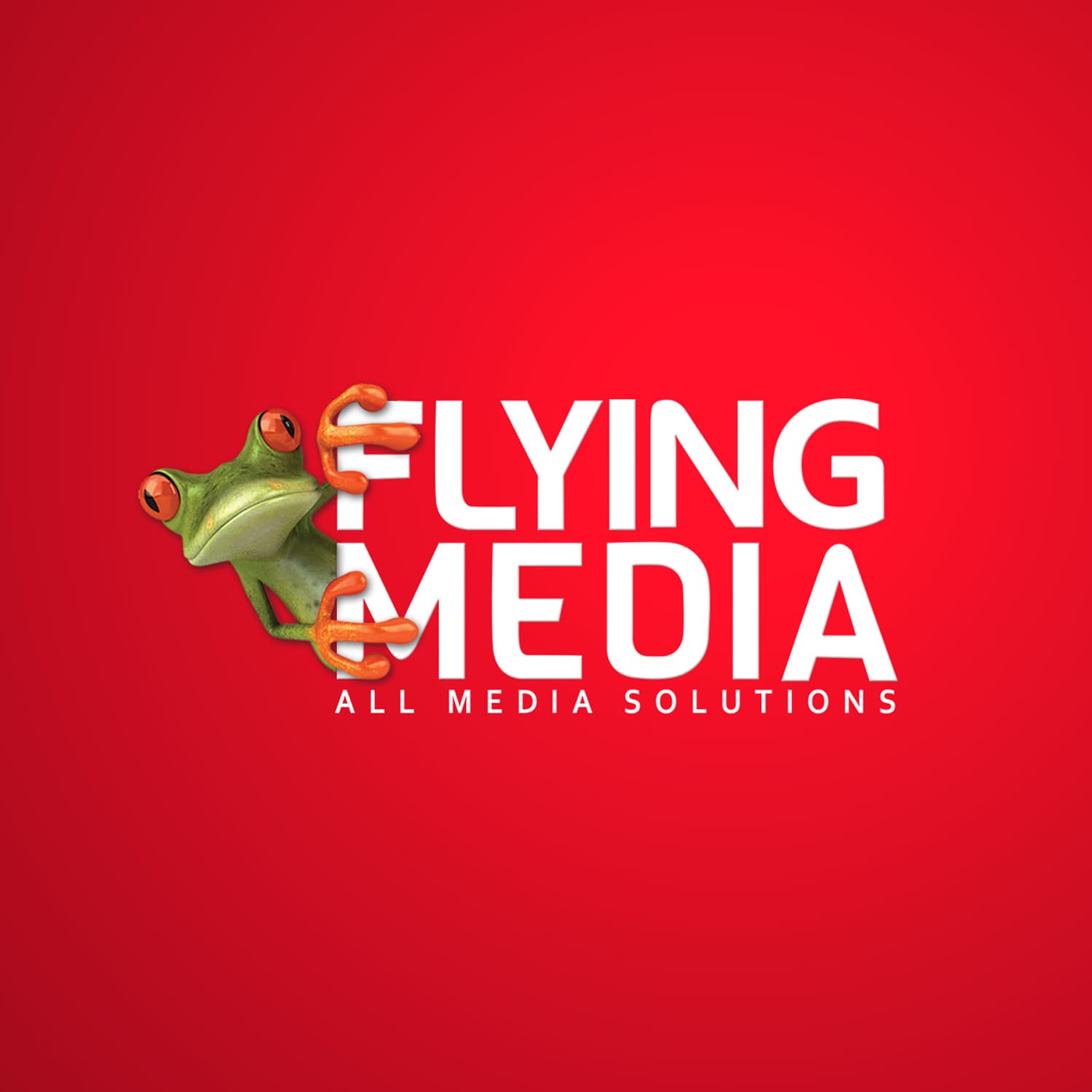 FLYING MEDIA 2