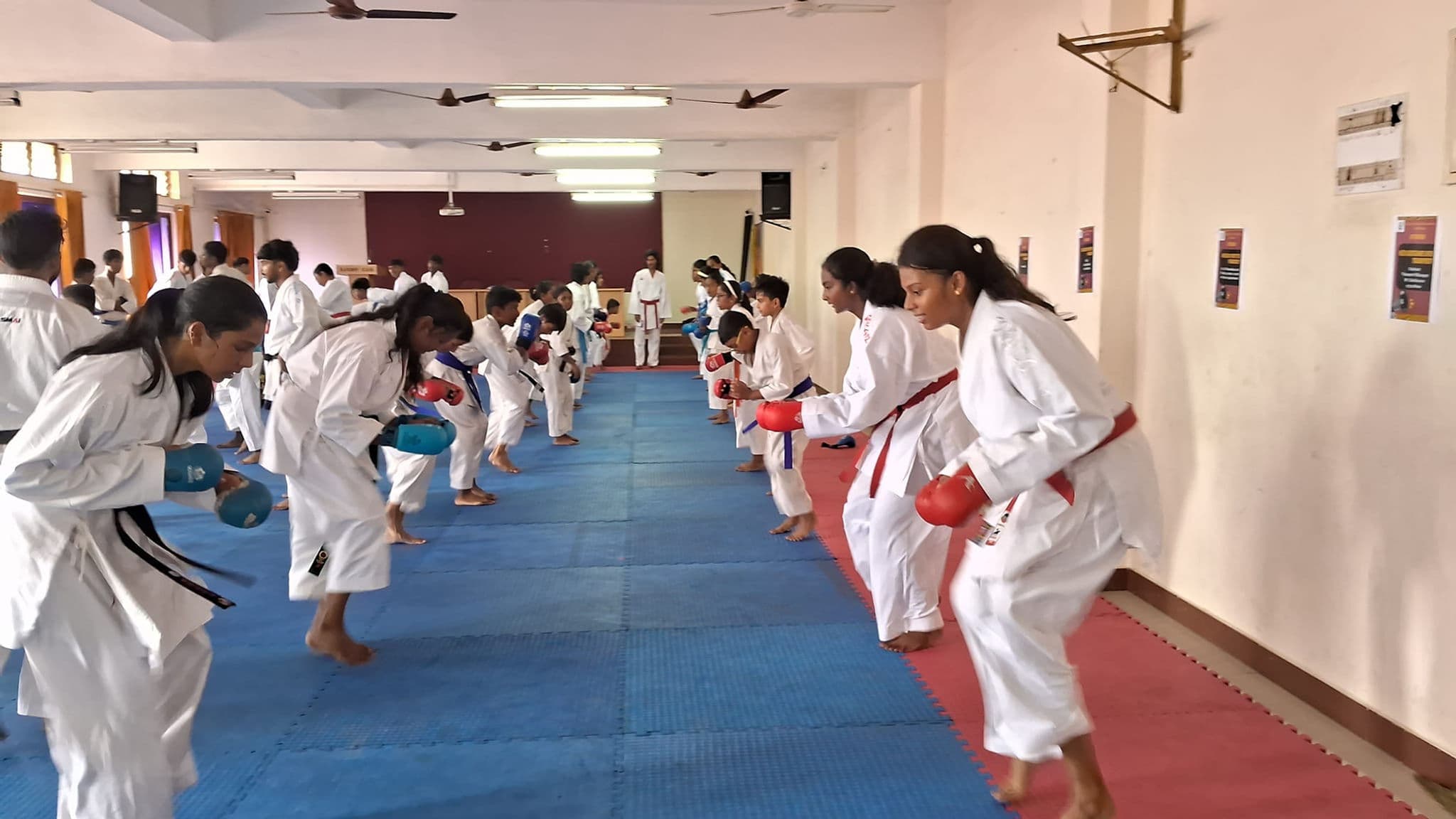 Adventure Academy of Martial Arts 5